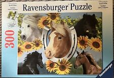 Ravensburger 300 jigsaw for sale  Holland