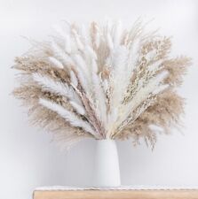 Dried pampas grass for sale  Naples