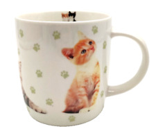 Katzen kätzchen tasse gebraucht kaufen  Lehre