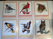 Abeka birds north for sale  Inverness