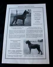 1930 print champion for sale  RICHMOND