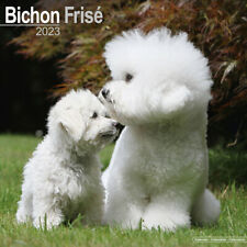 Calendrier 2023 bichon d'occasion  Troyes