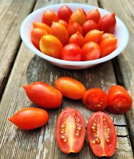 Mini tomate Marzano, 15+ sementes, vermelho, micro anão comprar usado  Enviando para Brazil