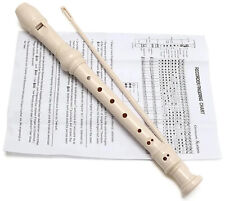 Traditional recorder beginner for sale  SOUTHAMPTON