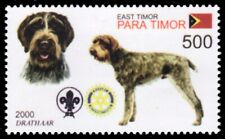 Timor leste 2002t d'occasion  Expédié en Belgium