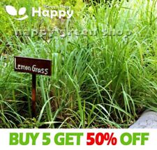 Herb lemon grass for sale  Shipping to Ireland