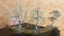Albero tris bonsai usato  Fucecchio