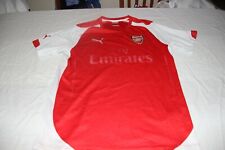 CAMISETA DE FUTBOL DEL ARSENAL DE LA MARCA PUMA TALLA M COTIZADA Y ESCASA SHIRT, usado segunda mano  Embacar hacia Argentina