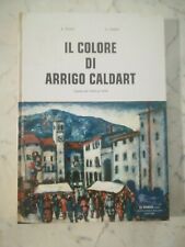 Colore arrigo caldart usato  Bagnoli Di Sopra