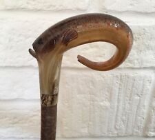 Rams horn head for sale  SALISBURY