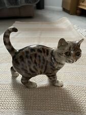 Winstanley tabby cat for sale  HERNE BAY