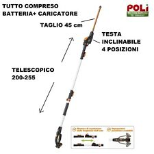 Worx tagliasiepi telescopico usato  Massa