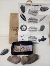Collection mixed fossils for sale  SOUTHEND-ON-SEA