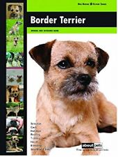 Border terrier dog for sale  UK