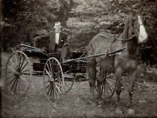 Phaeton horse wagon for sale  Dover