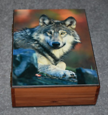 4241 wolf stare for sale  Fargo