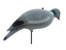 Flocked pigeon full for sale  UK