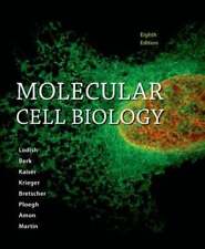 Biología celular molecular de Harvey Lodish: usada, usado segunda mano  Embacar hacia Argentina