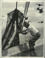 1956 press photo for sale  Memphis