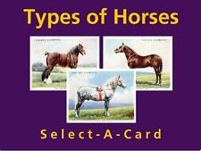 Player types horses for sale  KEIGHLEY