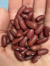 Red kidney bean for sale  SPALDING