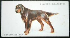 Gordon setter vintage for sale  Shipping to Ireland