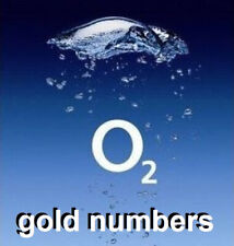 Gold unique numbers for sale  STOCKPORT