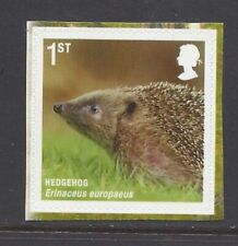 2010 mammals hedgehog for sale  UK