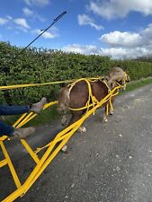 Pony cart harness for sale  BURNLEY