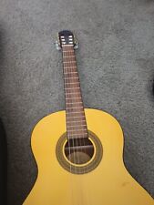 Lucero acoustic guitar for sale  Charlotte
