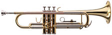 Ware trompete blasinstrumente gebraucht kaufen  Schongau