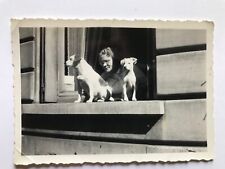 Vintage chiens women d'occasion  Expédié en Belgium