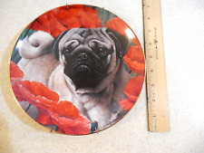 Pug dog collectable for sale  Surprise