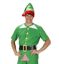 Costume elfo natalizio usato  Palermo