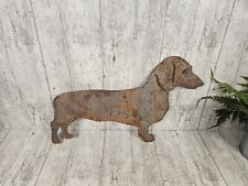 Dachshund sausage dog for sale  GAINSBOROUGH