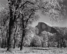 1938 De colección Ansel Adams Paisaje Valle de Yosemite Media Cúpula Grabado Arte 12x14 segunda mano  Embacar hacia Mexico