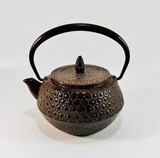 Vintage Japanese Cast Iron Tetsubin Kettle Nanbu Tekki Kyusu Teapot Heavy for sale  Shipping to South Africa