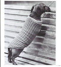 Knitting pattern dogs for sale  STOKE-ON-TRENT