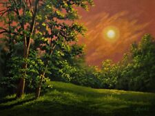 Evening glow landscape for sale  Owensboro