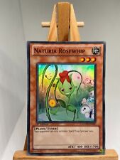 Naturia Rosewhip - Super Raro 1ª Edição HA02-EN041 - MP - YuGiOh comprar usado  Enviando para Brazil