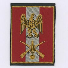 15th infantry division d'occasion  Expédié en Belgium