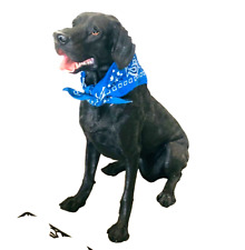 Black lab dog for sale  Fort Pierce