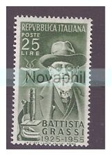 Italia 1955 battista usato  Pietrasanta
