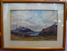 Watercolour signed connor for sale  ABERGELE