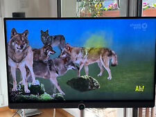 Loewe fernseher bild gebraucht kaufen  Stuttgart