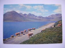 Skye postcard red for sale  FALKIRK