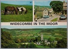 Multiview widecombe moor for sale  Shipping to Ireland
