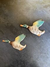 Mallard duck wall for sale  STOKE-ON-TRENT