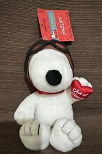 Snoopy peanuts valentines for sale  Eads