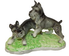 Schnauzer dogs playing for sale  Ferdinand